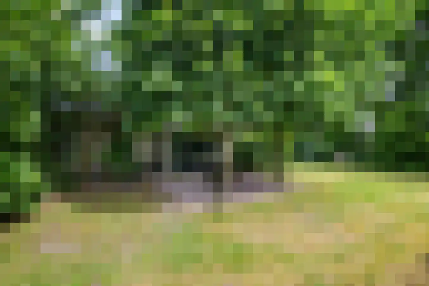 Suvelstrjitte 5 Feanwâlden thumbnail 9