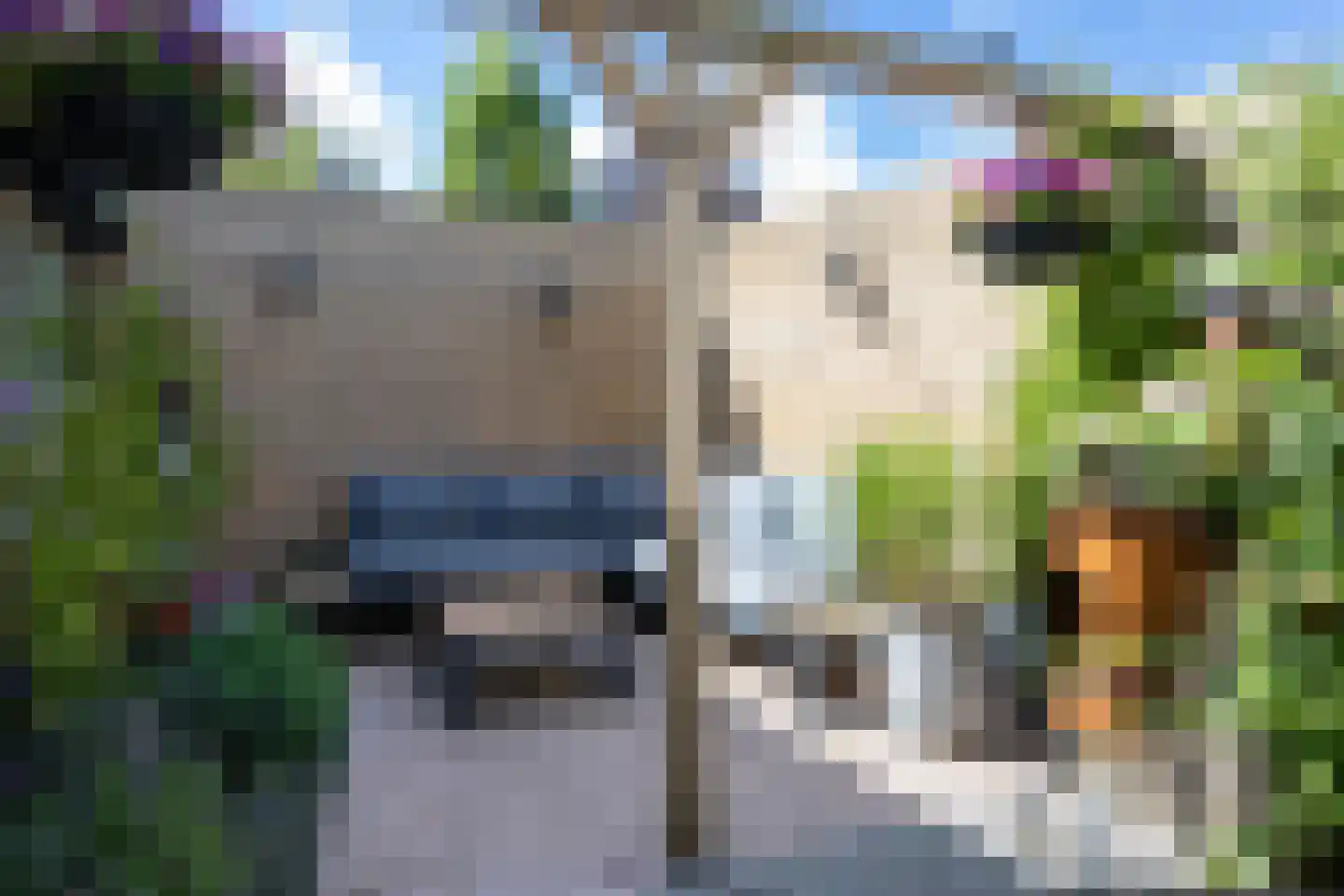 Suyderbon 35 Rijnsaterwoude thumbnail 23