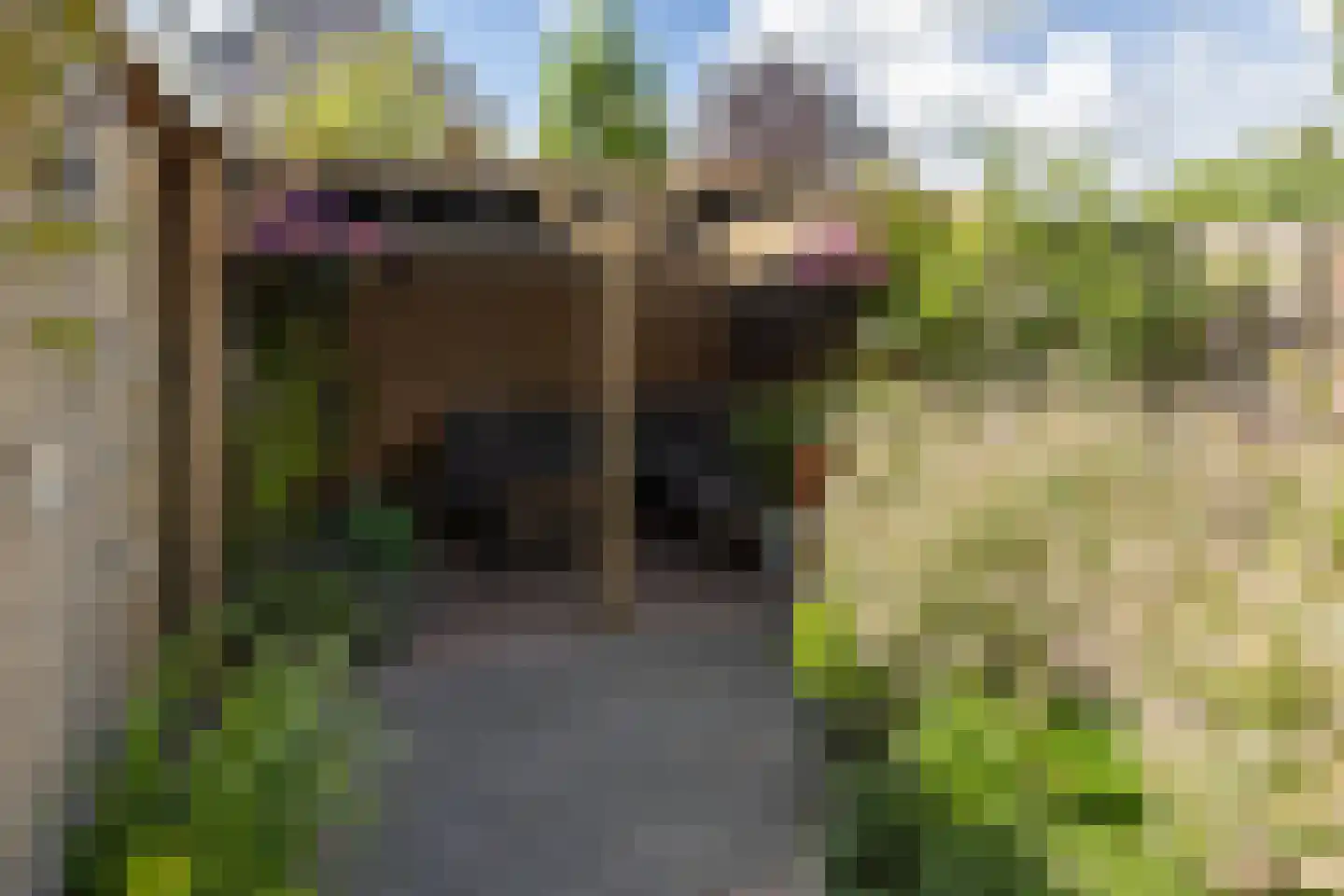 Suyderbon 35 Rijnsaterwoude thumbnail 26