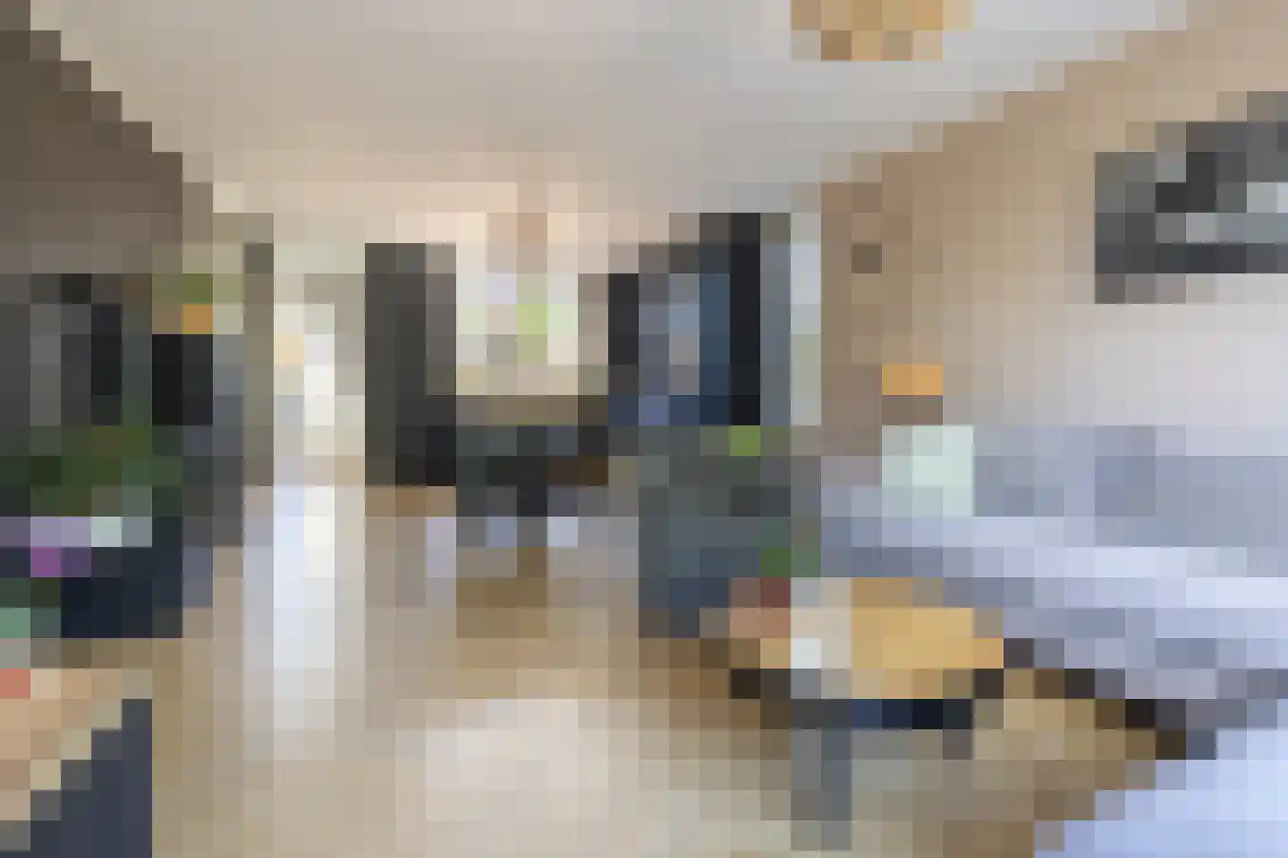 Suyderbon 35 Rijnsaterwoude thumbnail 5