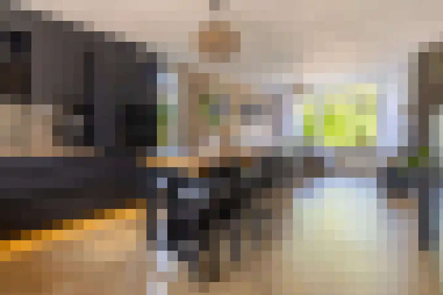 Suyderbon 35 Rijnsaterwoude thumbnail 7