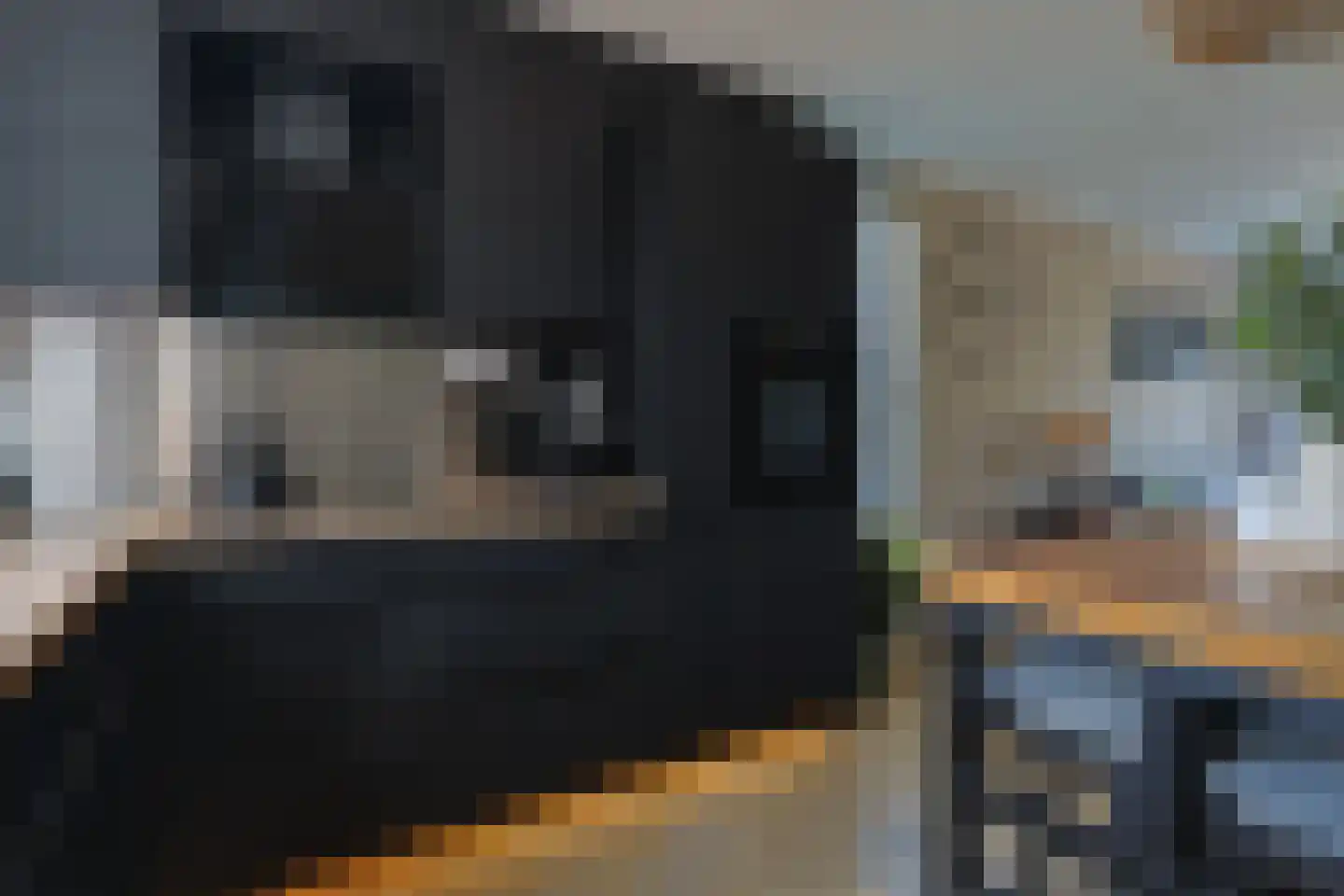 Suyderbon 35 Rijnsaterwoude thumbnail 8