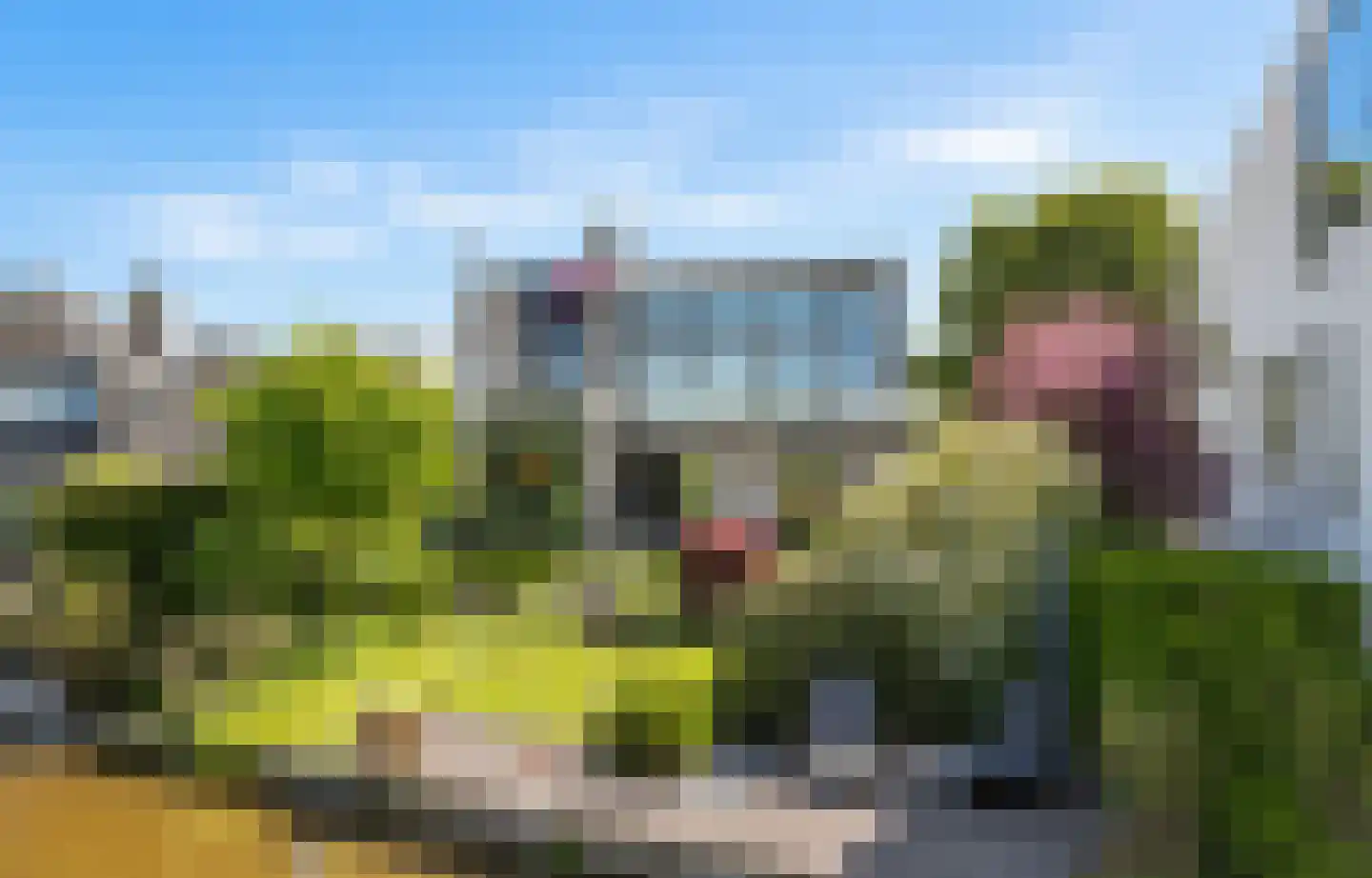 Suyderbon 40 Rijnsaterwoude