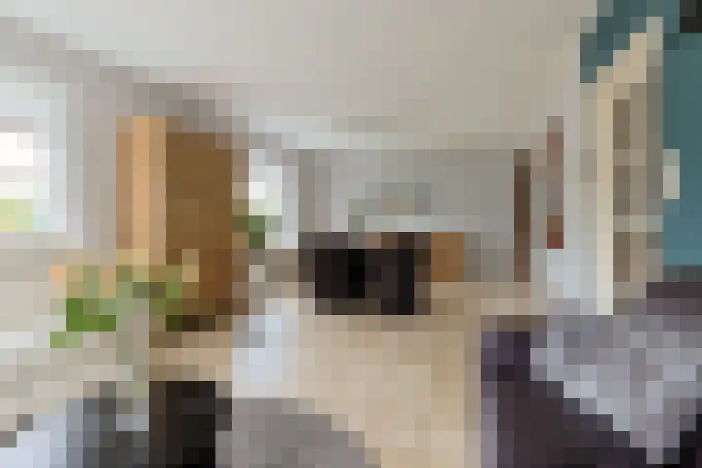 Suyderbon 46 Rijnsaterwoude thumbnail 11