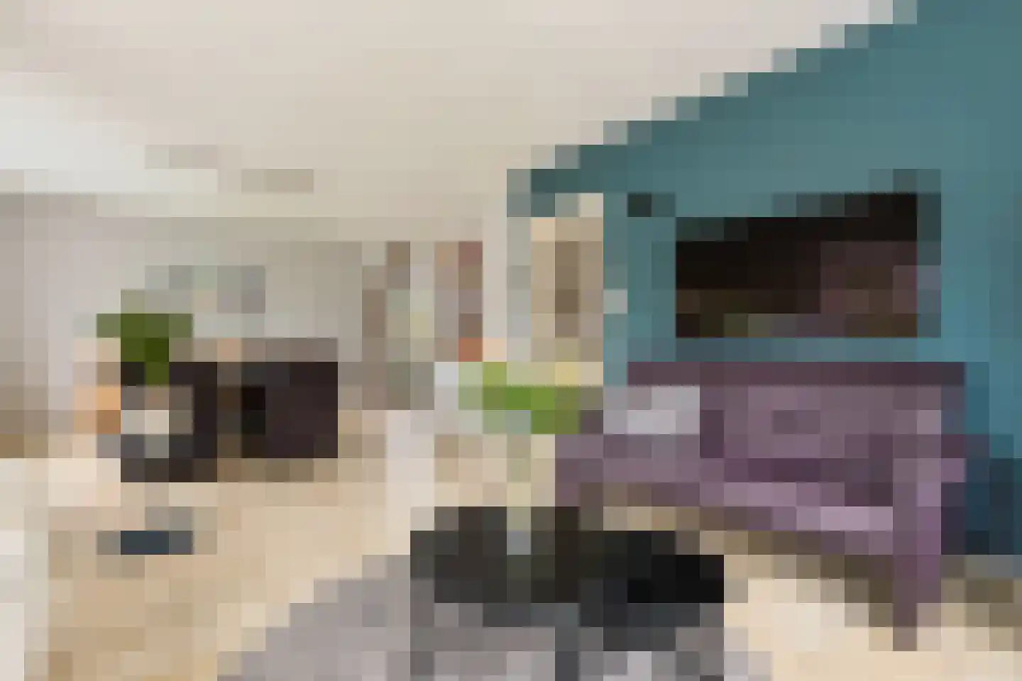 Suyderbon 46 Rijnsaterwoude thumbnail 12