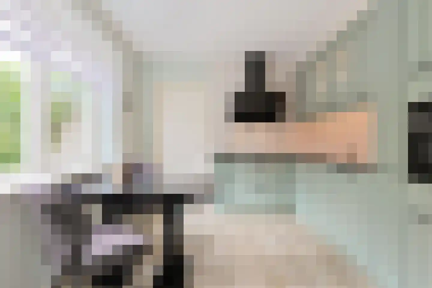Suyderbon 46 Rijnsaterwoude thumbnail 15