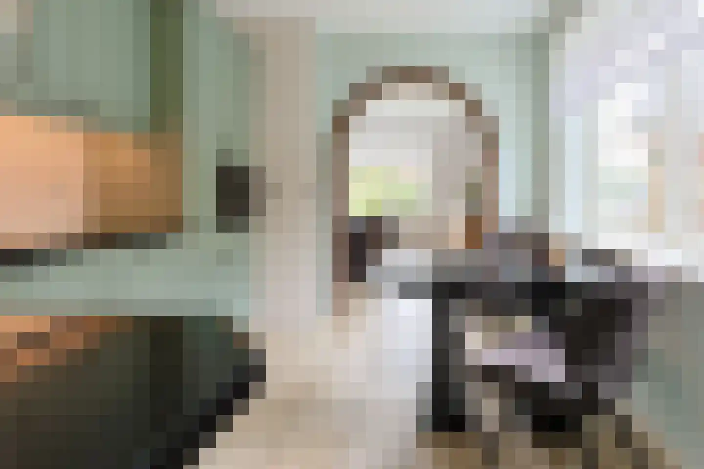 Suyderbon 46 Rijnsaterwoude thumbnail 16