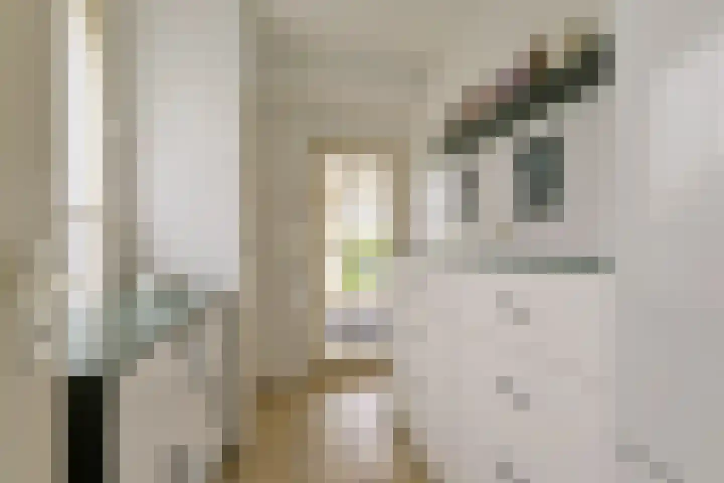 Suyderbon 46 Rijnsaterwoude thumbnail 17