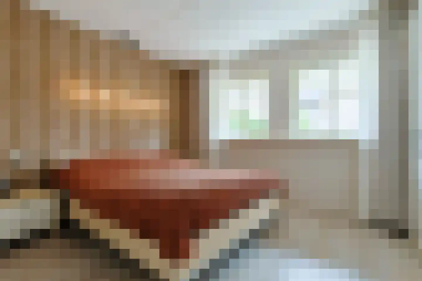 Suyderbon 46 Rijnsaterwoude thumbnail 21