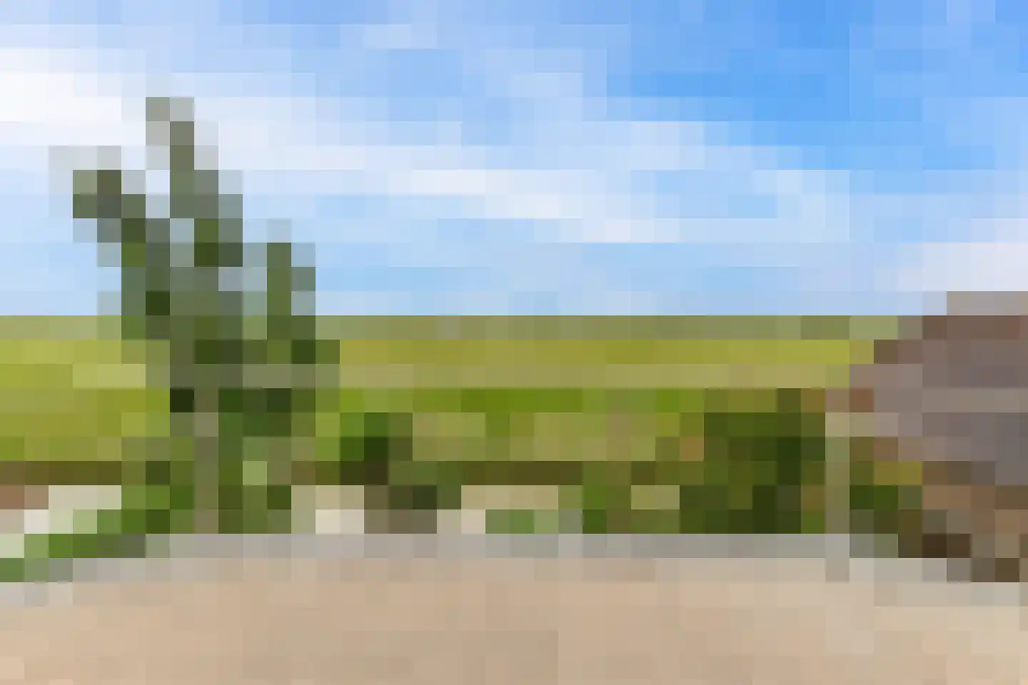 Suyderbon 46 Rijnsaterwoude thumbnail 27