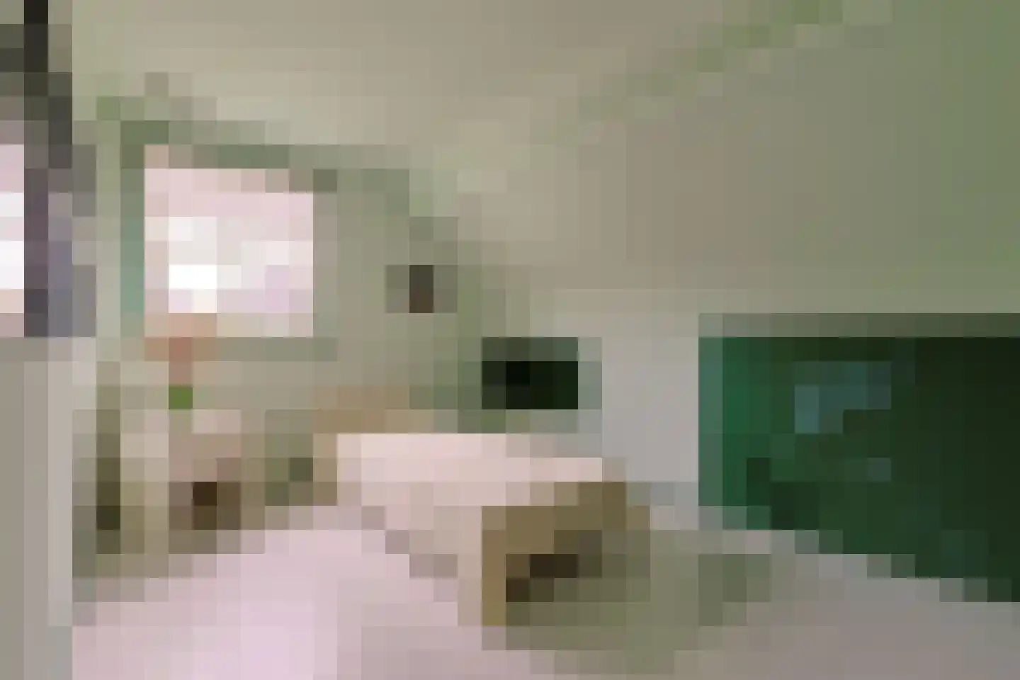 Suyderbon 46 Rijnsaterwoude thumbnail 28