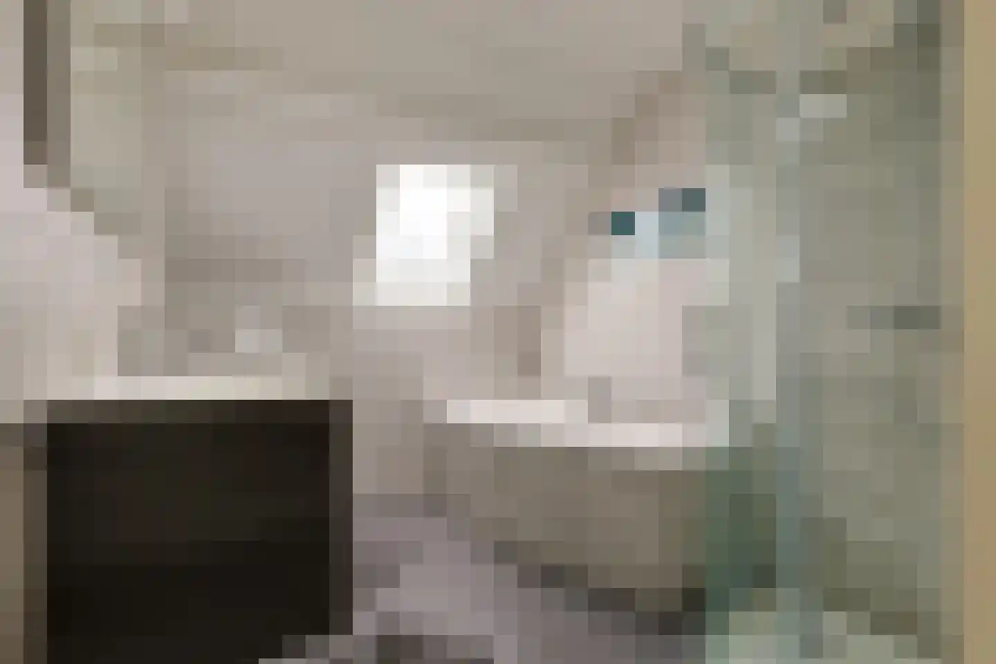 Suyderbon 46 Rijnsaterwoude thumbnail 32