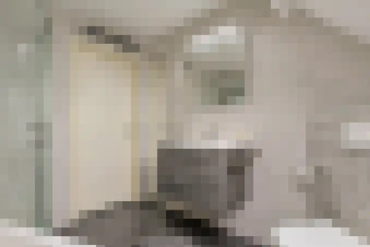 Suyderbon 46 Rijnsaterwoude thumbnail 34