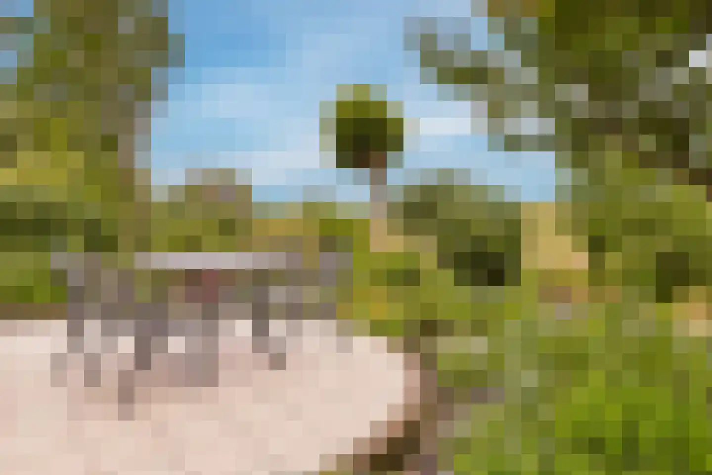 Suyderbon 46 Rijnsaterwoude thumbnail 37