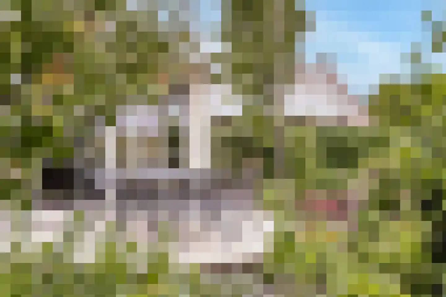 Suyderbon 46 Rijnsaterwoude thumbnail 38