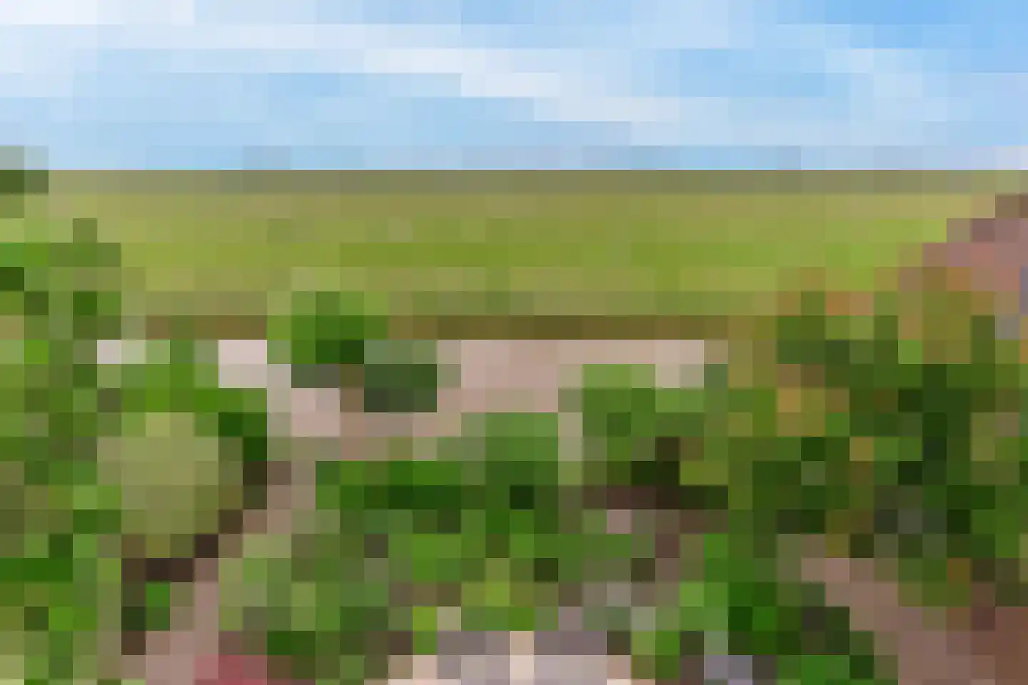 Suyderbon 46 Rijnsaterwoude thumbnail 39