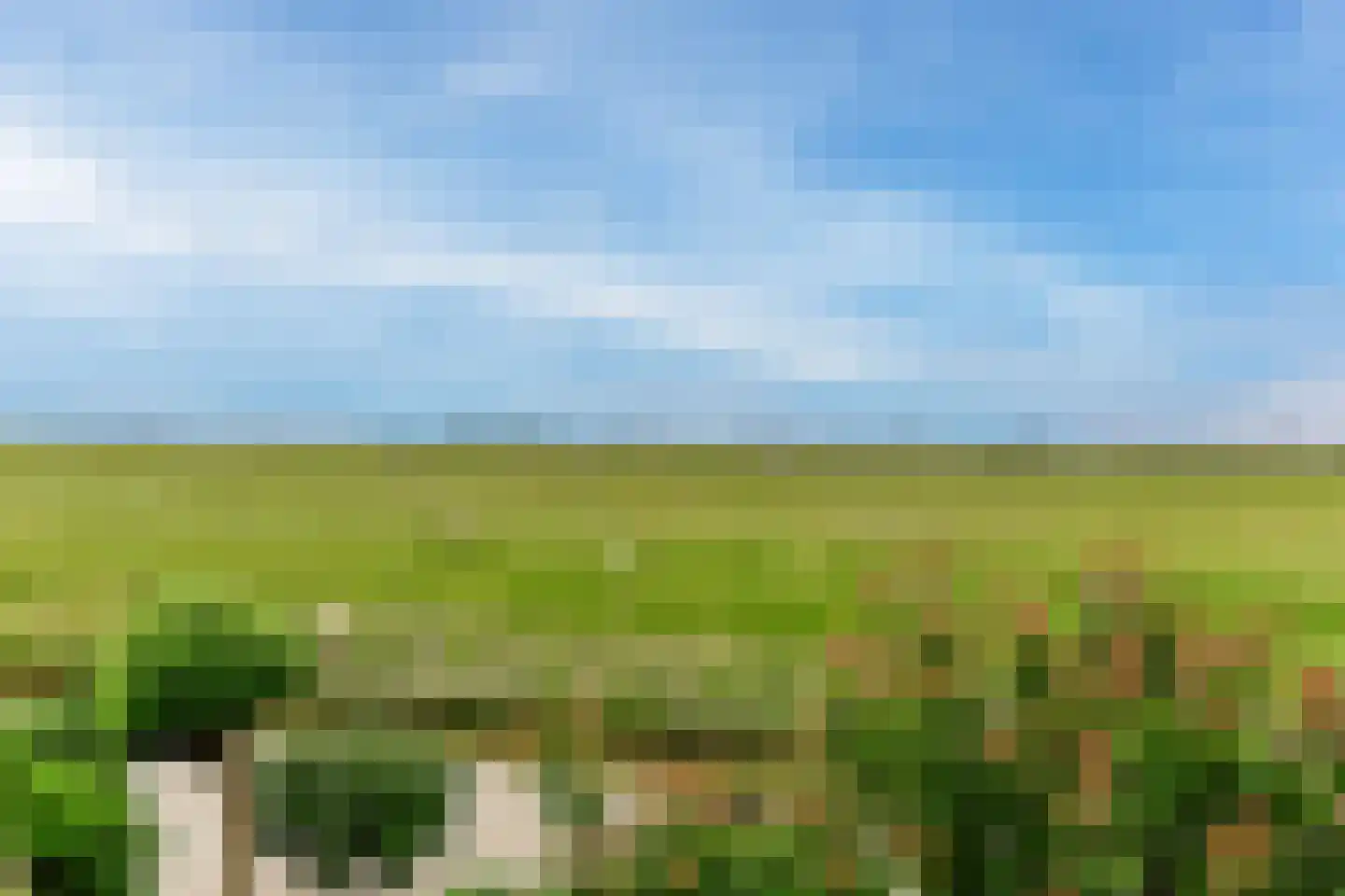 Suyderbon 46 Rijnsaterwoude thumbnail 40