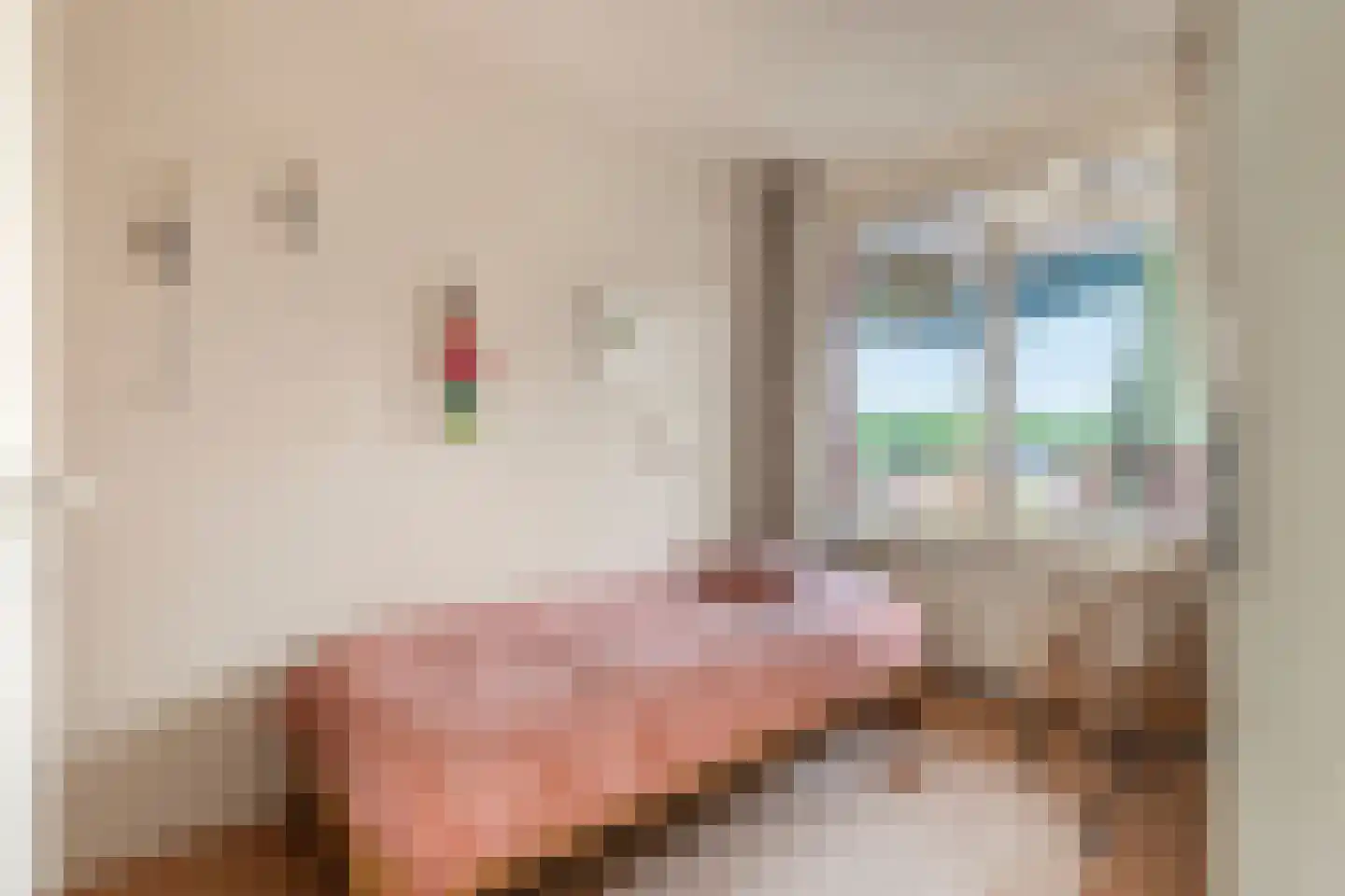 Suykers acker 121 Heemskerk thumbnail 16
