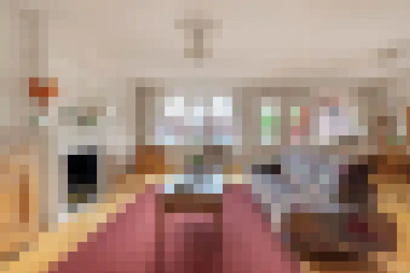Suykers acker 121 Heemskerk thumbnail 29