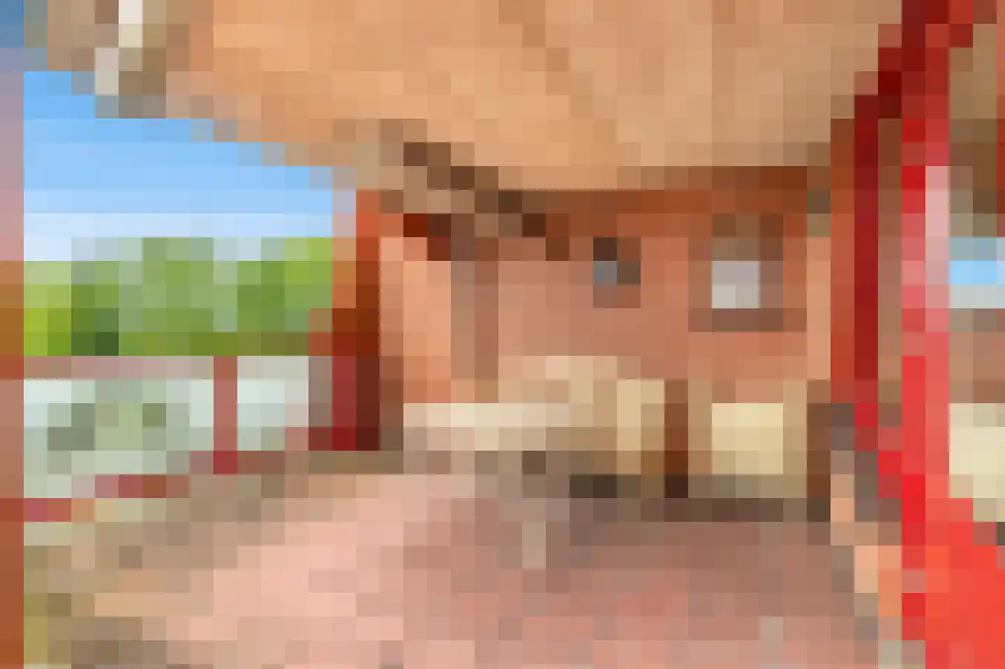 Suykers acker 121 Heemskerk thumbnail 4