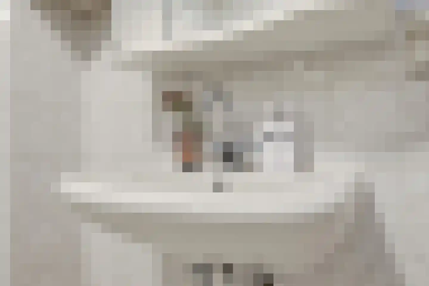 Suykers acker 19 Heemskerk thumbnail 33