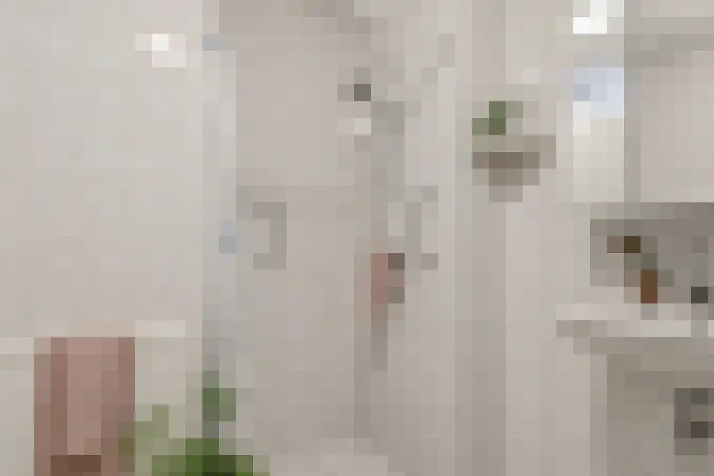 Suykers acker 19 Heemskerk thumbnail 34