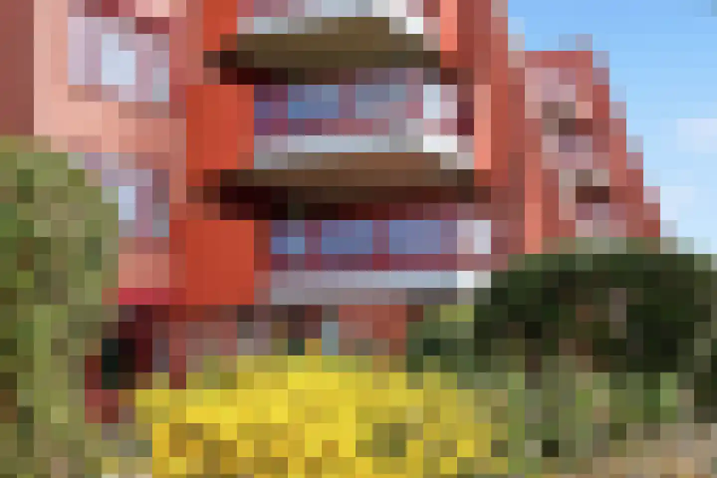 Suykers acker 19 Heemskerk thumbnail 44