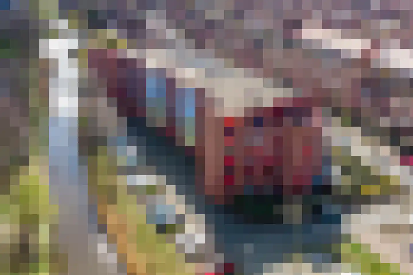 Suykers acker 19 Heemskerk thumbnail 47