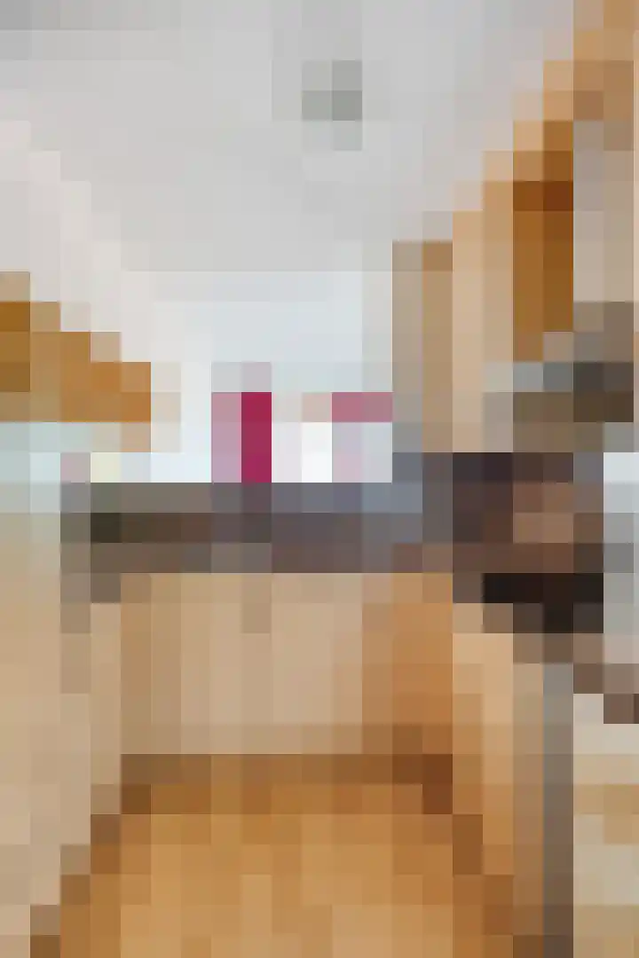 Suykers acker 23 Heemskerk thumbnail 11