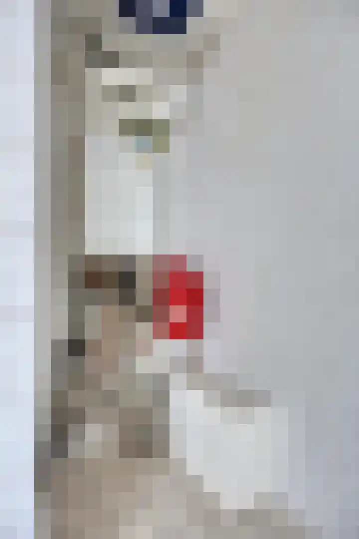 Suykers acker 23 Heemskerk thumbnail 17