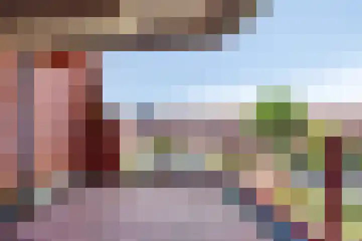 Suykers acker 23 Heemskerk thumbnail 19