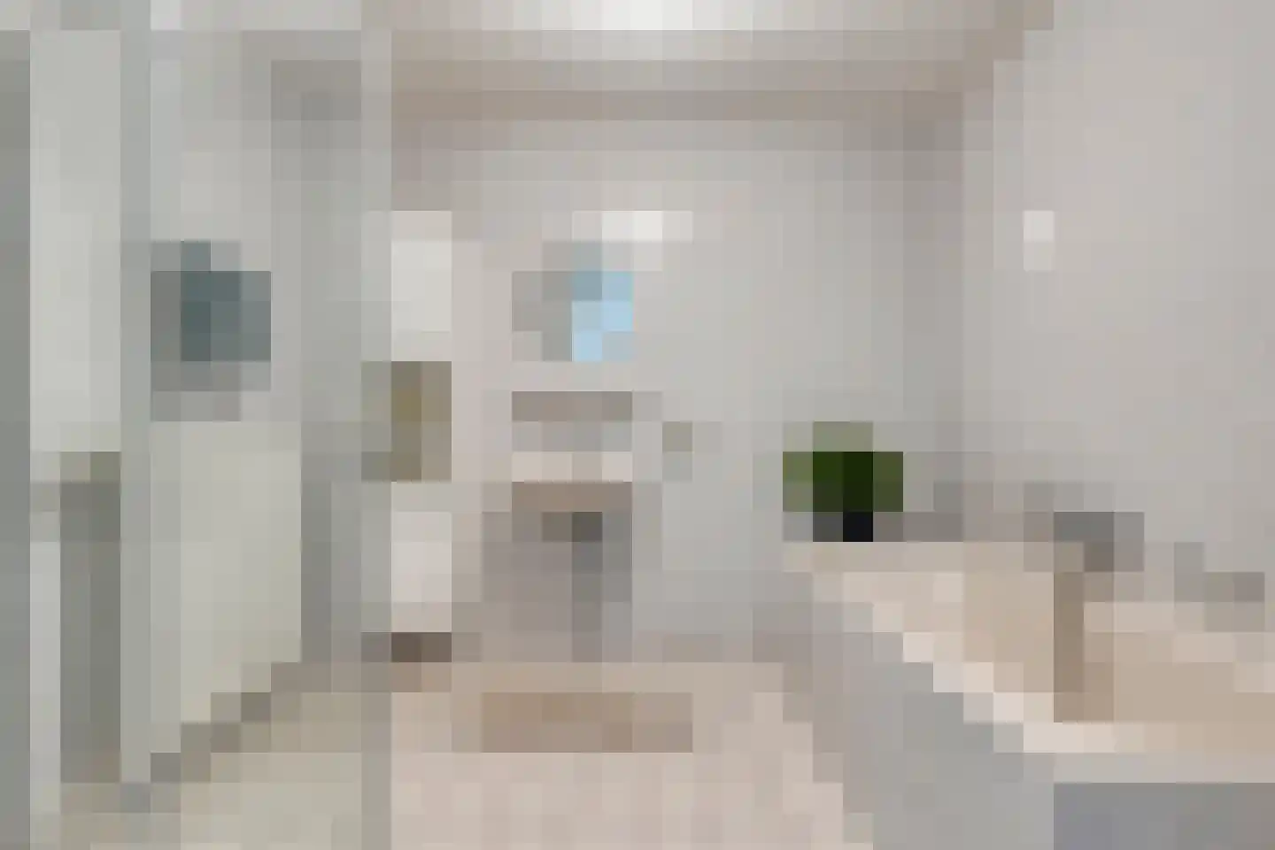 Suykers acker 41 Heemskerk thumbnail 13