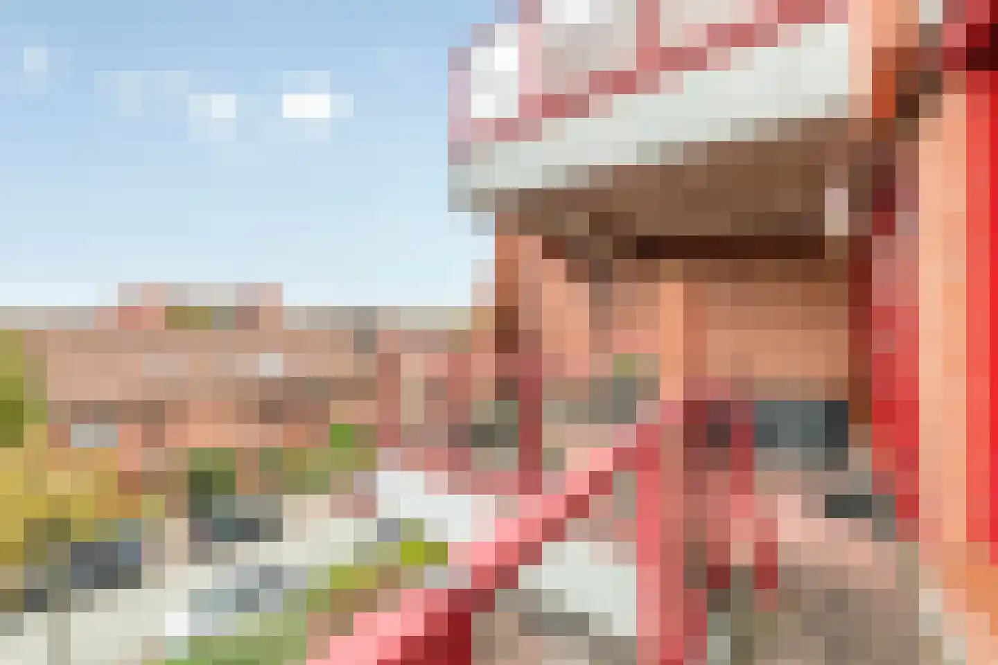 Suykers acker 41 Heemskerk thumbnail 20