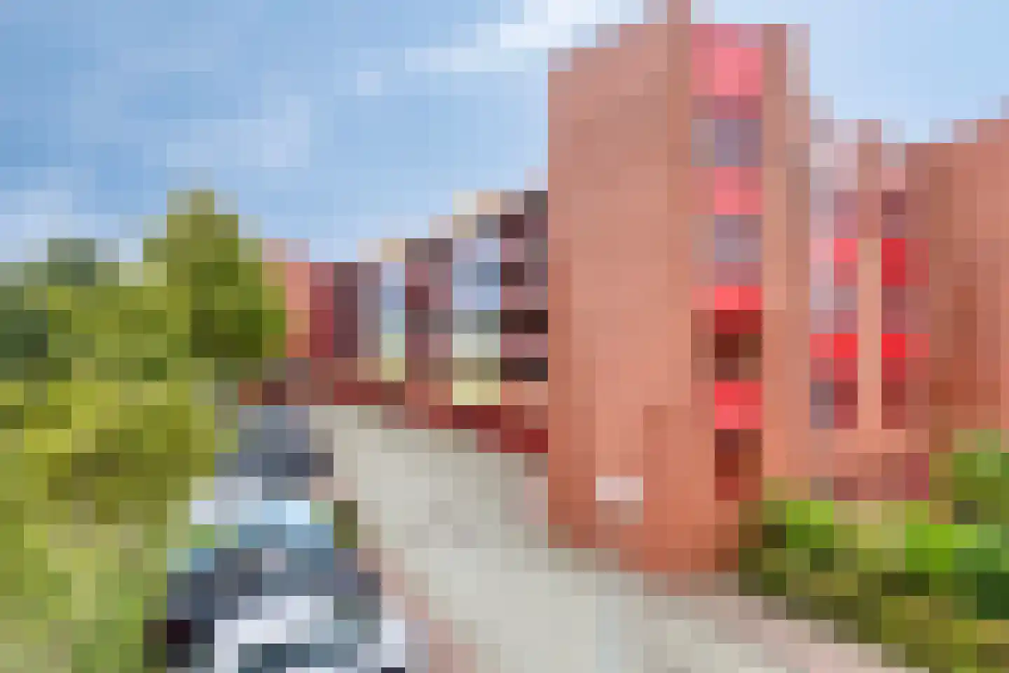 Suykers acker 41 Heemskerk thumbnail 24