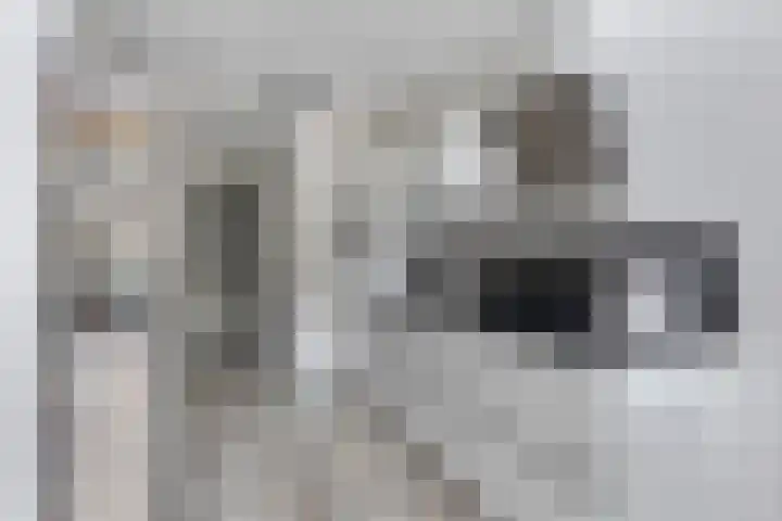 Suytboulevard 12 Helmond thumbnail 11