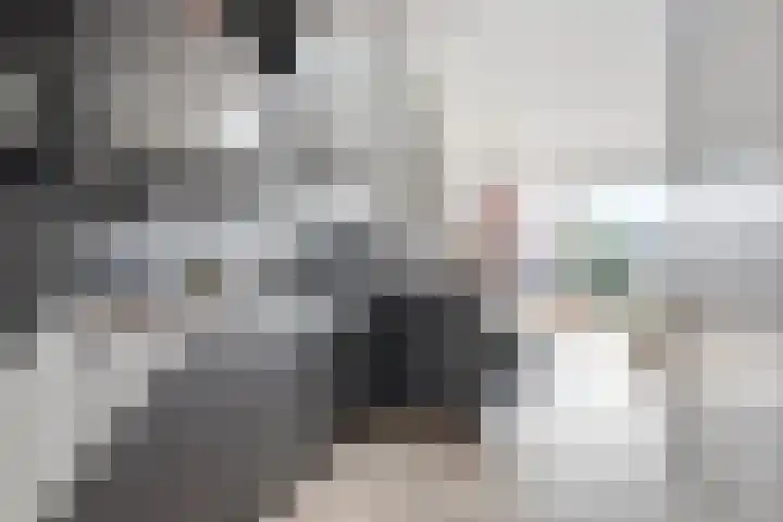 Suytboulevard 30 Helmond thumbnail 4