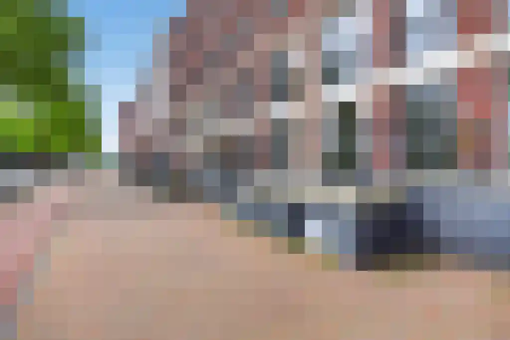 Suytboulevard 55 Helmond thumbnail 6