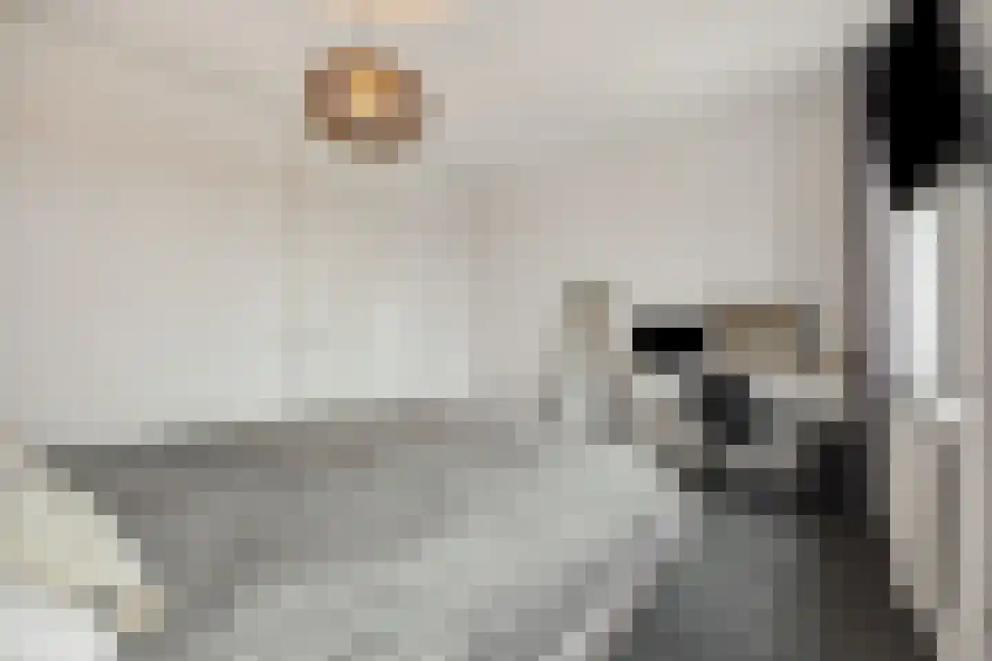 Suytboulevard 59 Helmond thumbnail 31