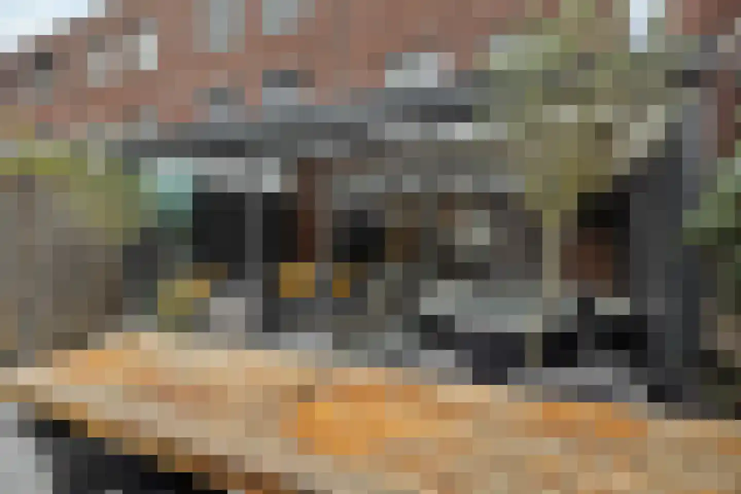 Suytboulevard 59 Helmond thumbnail 35