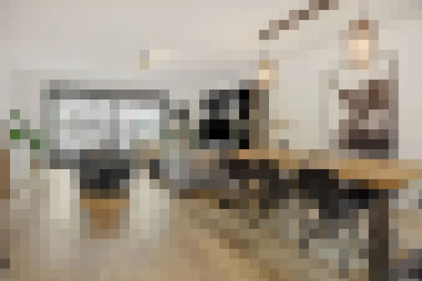 Suytboulevard 59 Helmond thumbnail 9