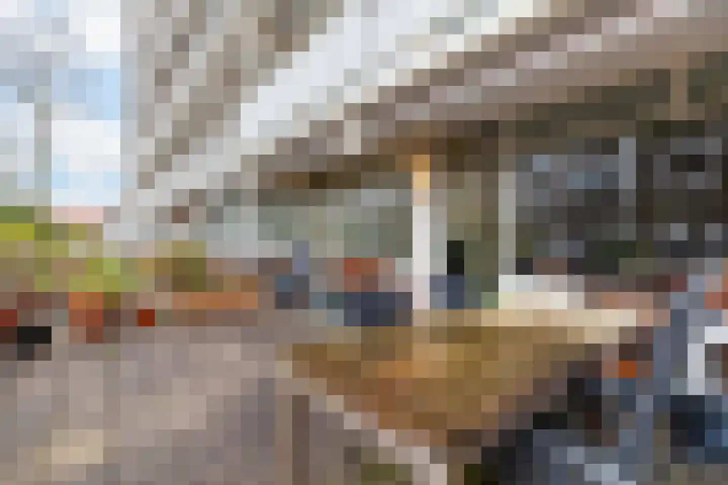 Suzannaland 188 Den Haag thumbnail 11