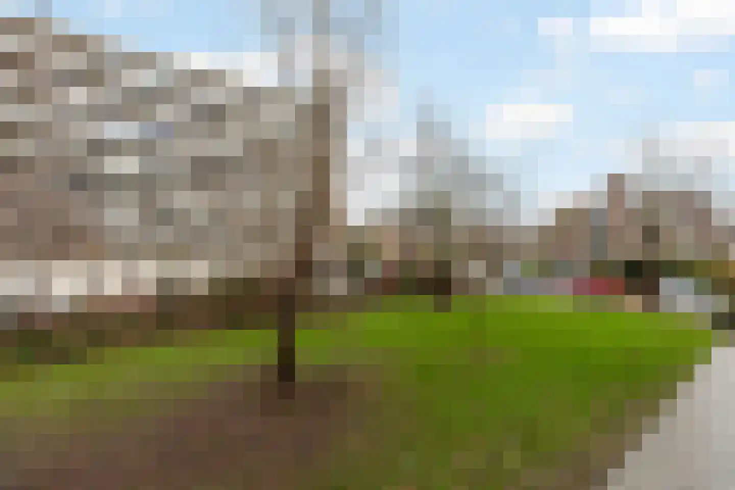 Suzannaland 188 Den Haag thumbnail 20