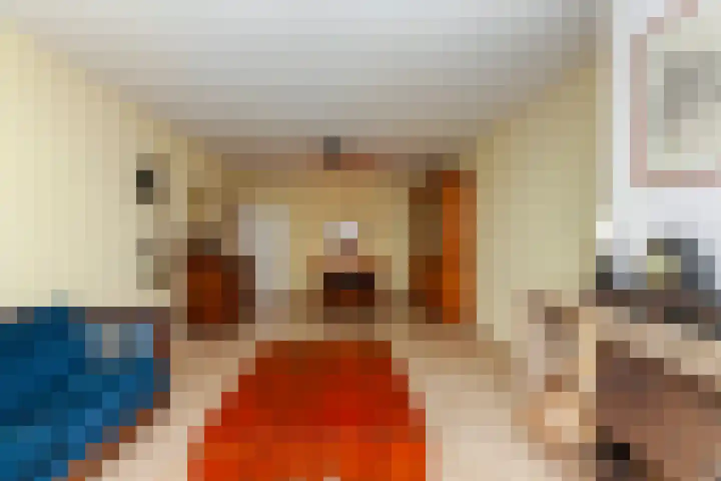 Suzannaland 188 Den Haag thumbnail 6