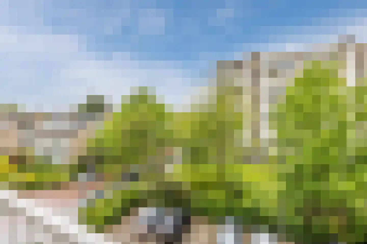 Suzannaland 300 Den Haag thumbnail 15