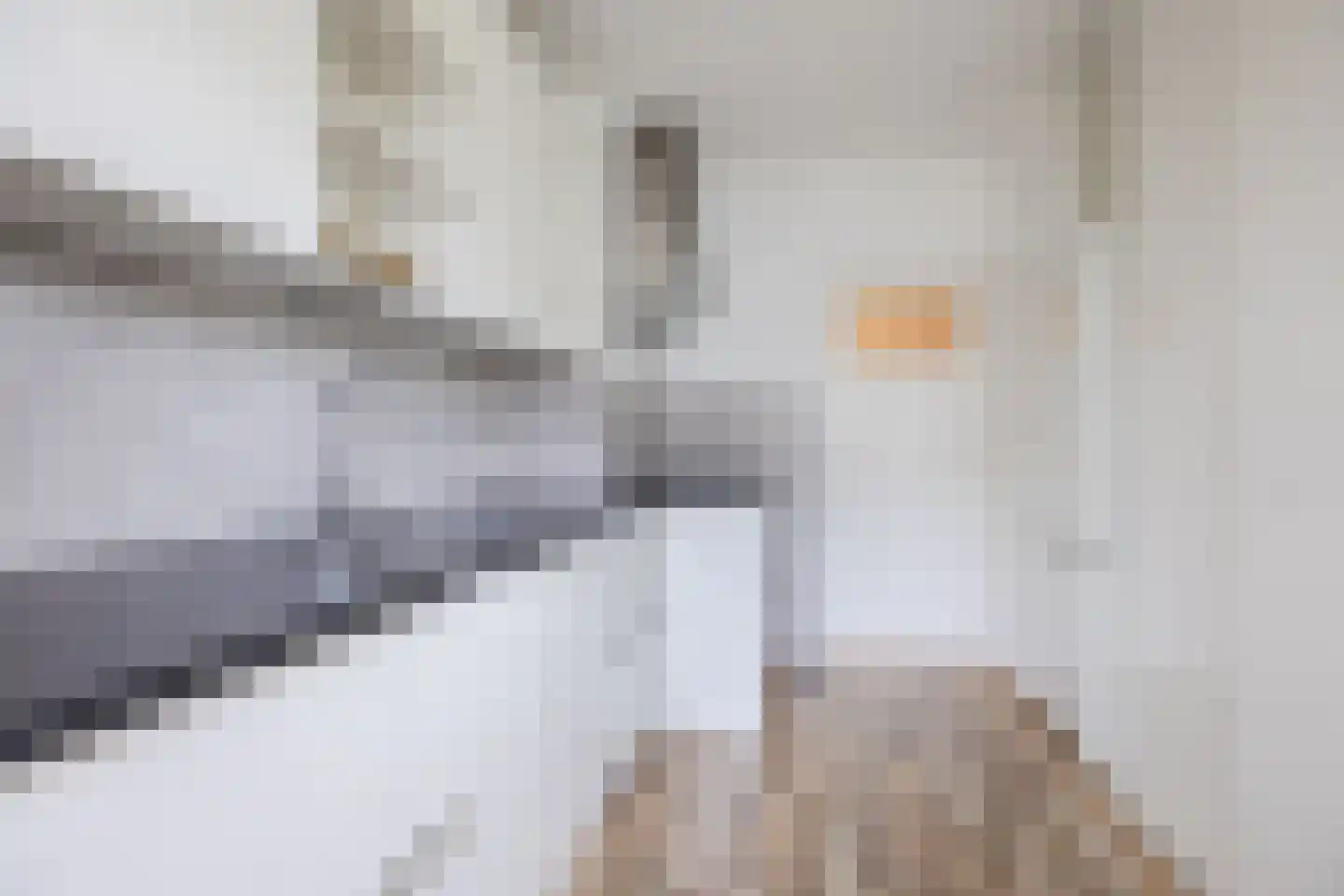 Suzannaland 300 Den Haag thumbnail 21