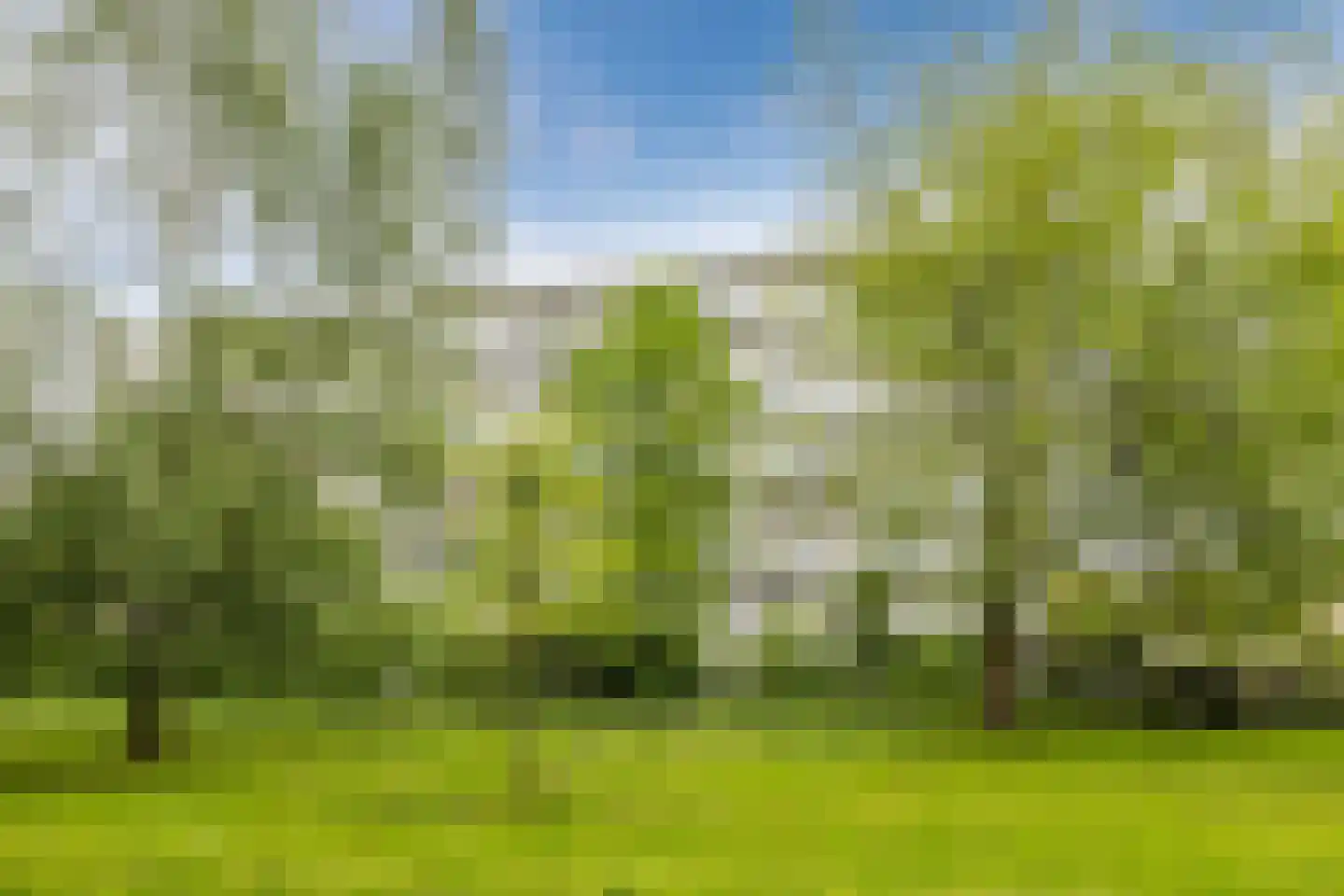 Suzannaland 300 Den Haag thumbnail 5