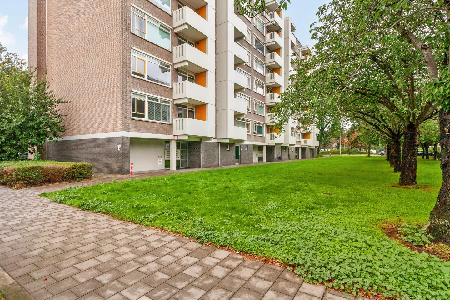 Suzannaland 36 Den Haag thumbnail 30