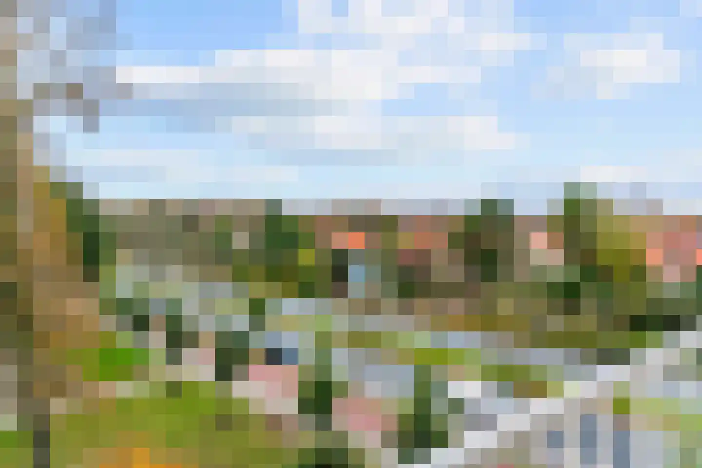 Suzannaland 362 Den Haag thumbnail 10