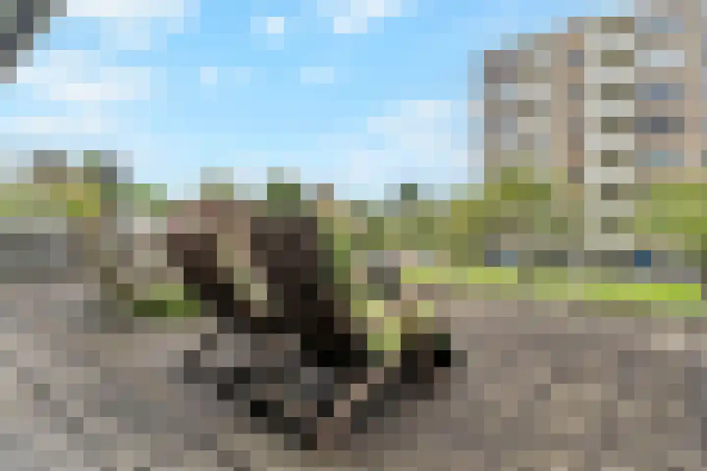 Suzannaland 420 Den Haag thumbnail 11