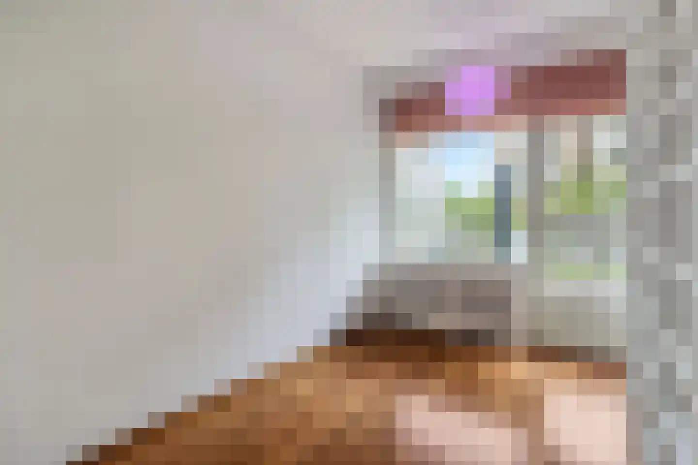 Suzannaland 420 Den Haag thumbnail 17